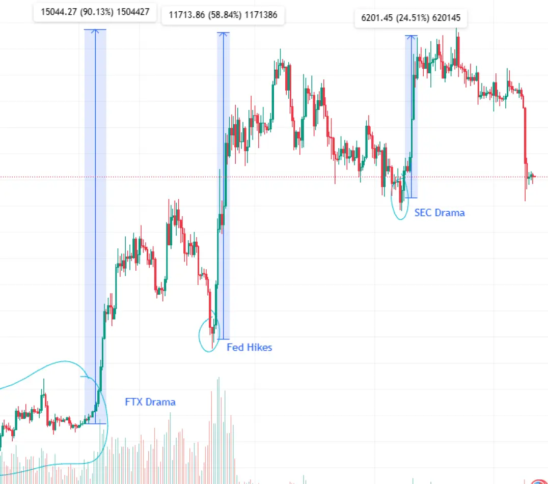 Maximum profit if you bought all of the crashes.
