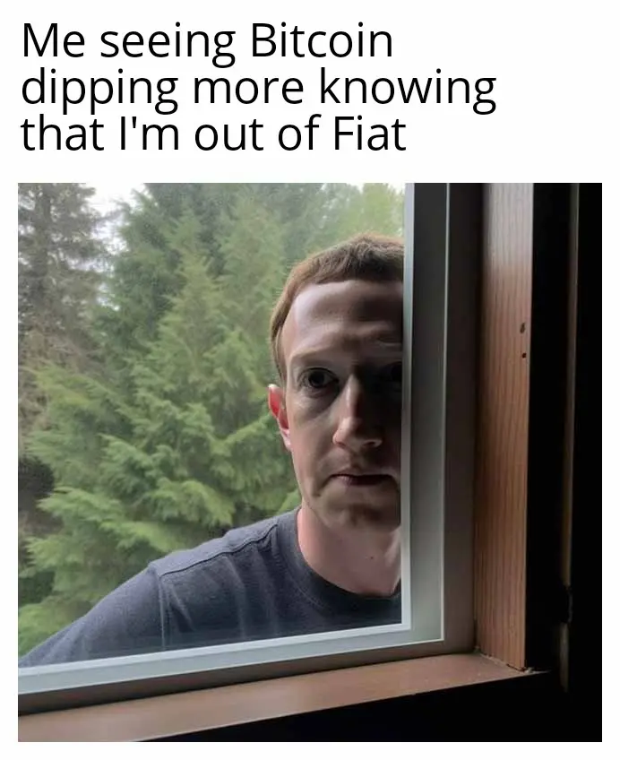 d2f0a843c69bcefd91885ac3ab78ed72697c60f75f1cf55bf2a02918e5bb0b4e.jpg