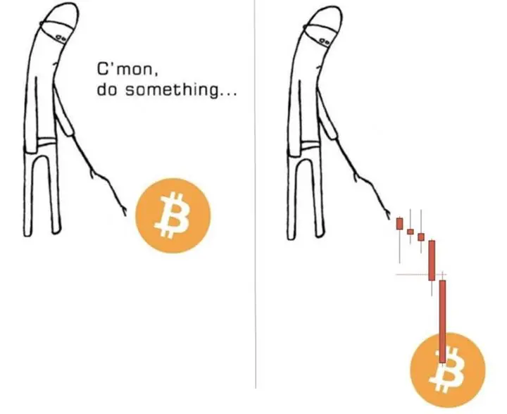 17007974841e4f88f3e768d1cd63c1041279aa741ebaff7582cc292489dd7cc8.jpg
