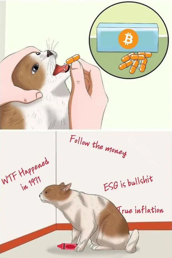 1edd703ad341b3ec7b667828d94a6c10e56a24c0244214a2111df7724d2d7854.jpg