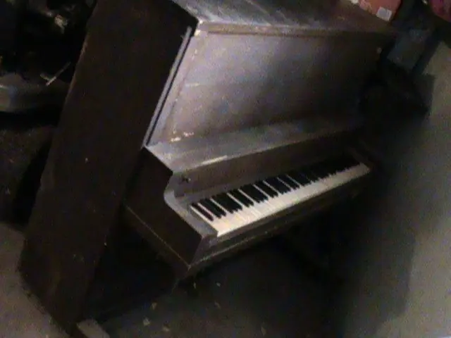 e2262276744c88a3af52991849309505f248b5d54fc0452605d4e7202cde2ab1.jpg