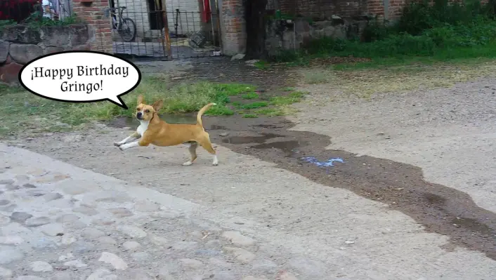 46db3b01b8f32ac78531573228c247ab8613eaaaa4f30b49384ad3b1b35c9dcc.png