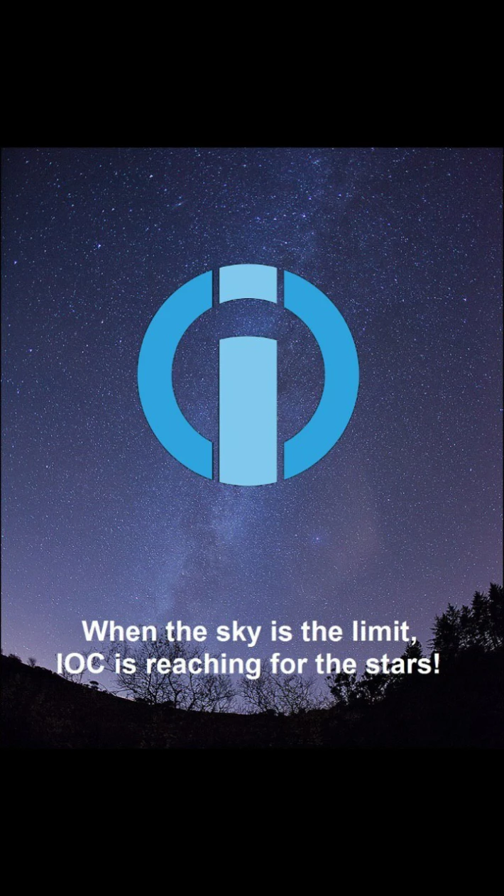 I/O Coin image
