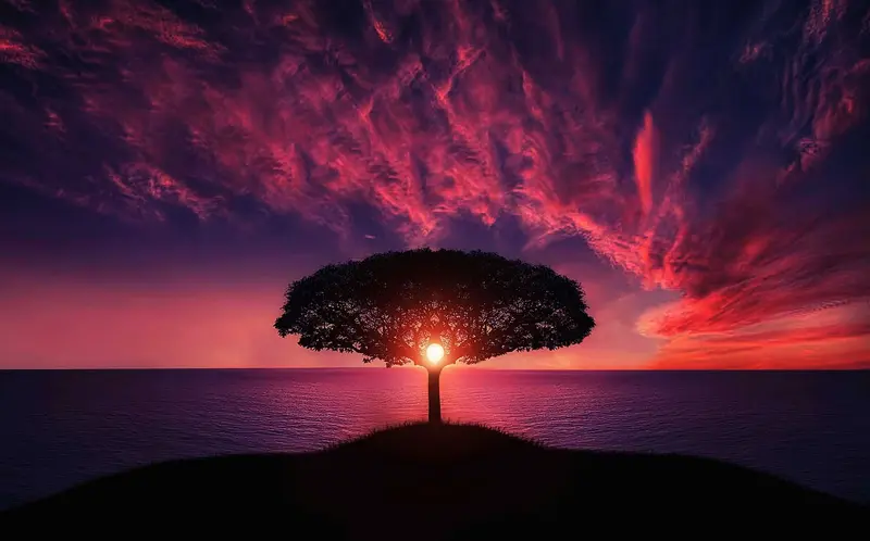 8ecd7d2ee6b3d45d171c4baea1b4d069be5d9021ce9c5d6151da7975f1e4234c.png