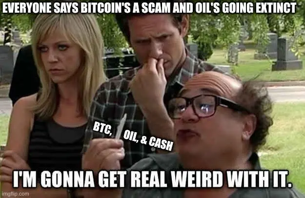 458f247b60087932a02203f74f47da12736c6d42fd3adcf2fbf189cb523537cd.jpg