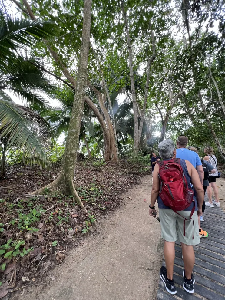 Cahuita National Park. Costa Rica, province of Limon.