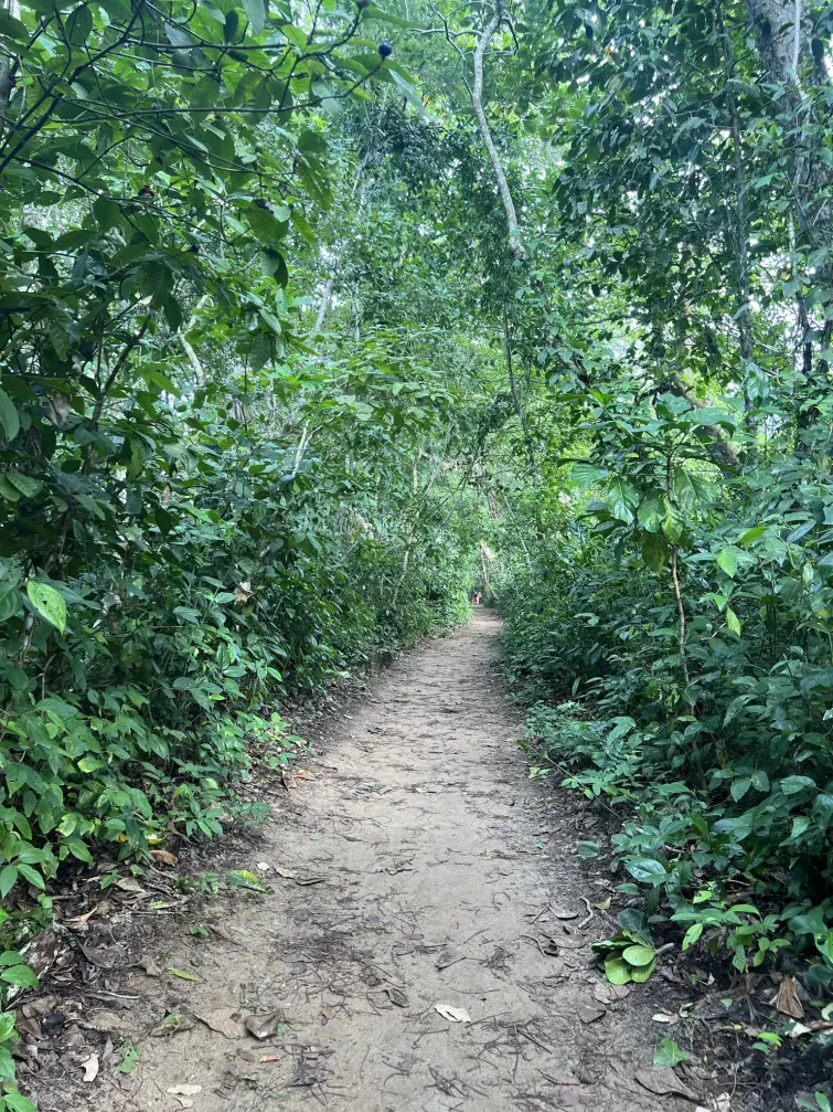 Cahuita National Park. Costa Rica, province of Limon.
