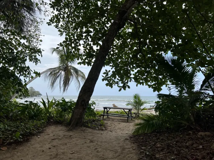 Cahuita National Park. Costa Rica, province of Limon.