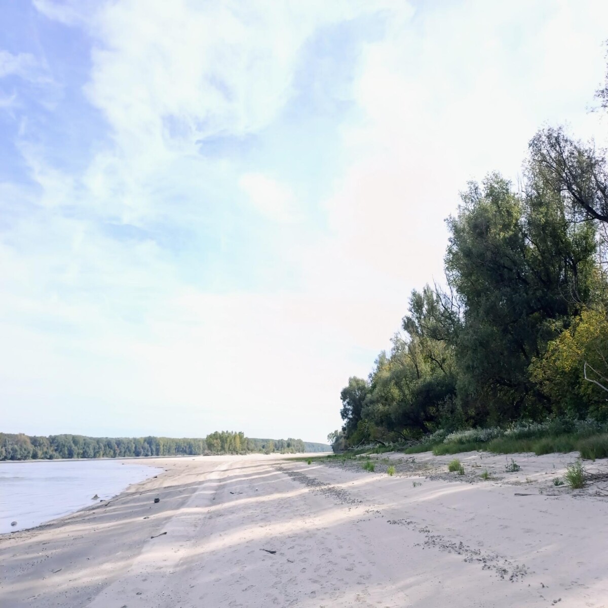 Liberty Island ❤️ #Island #Liberty #nature #danube #River #Beach #liberland #naturelovers #NatureBeauty #sand