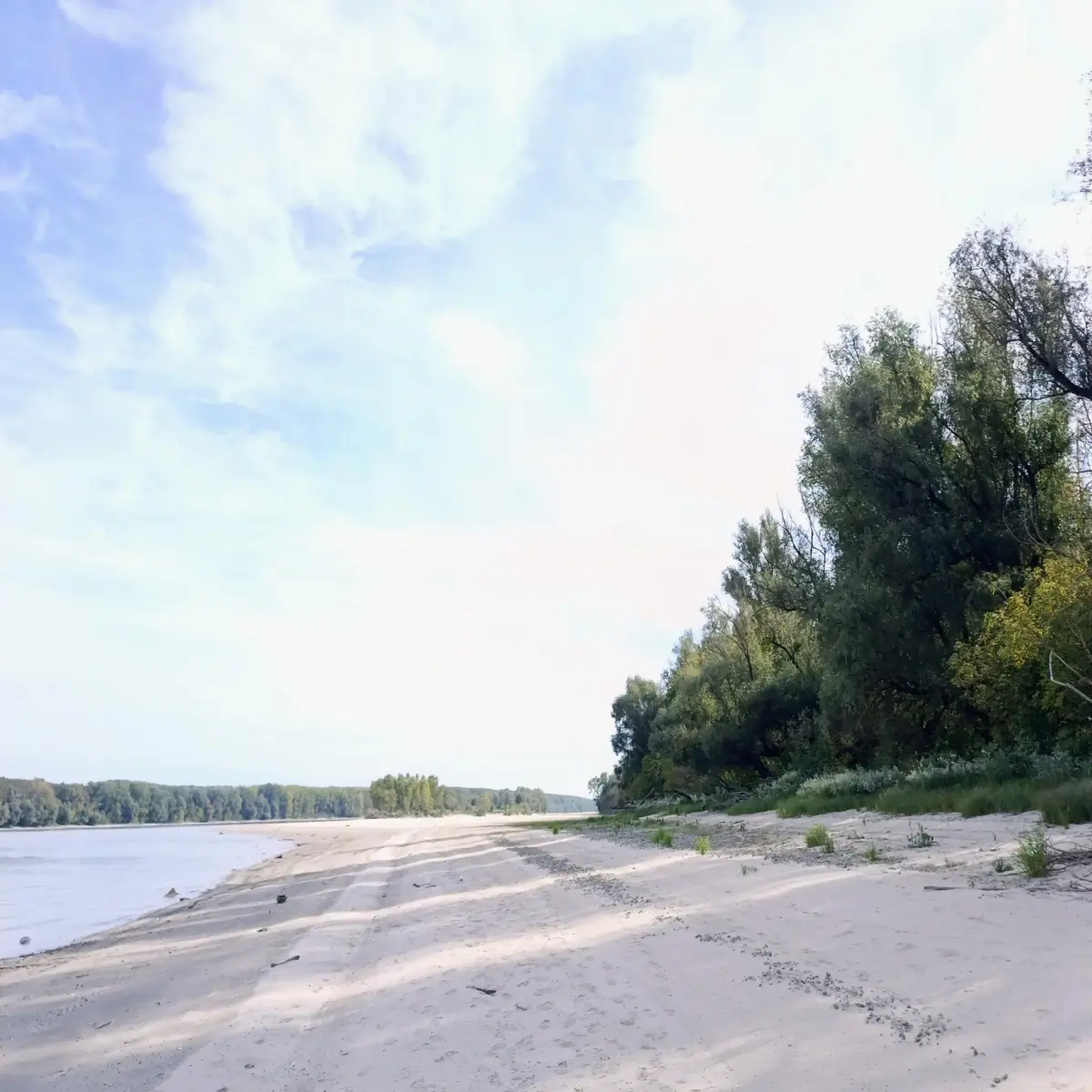Liberty Island ❤️ #Island #Liberty #nature #danube #River #Beach #liberland #naturelovers #NatureBeauty #sand