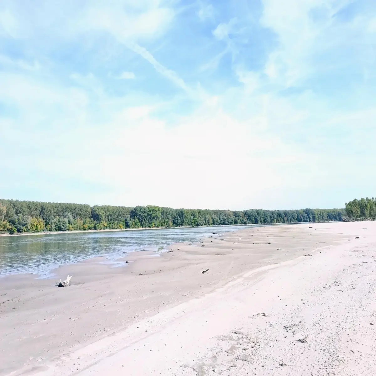 Liberty Island ❤️ #Island #Liberty #nature #danube #River #Beach #liberland #naturelovers #NatureBeauty #sand