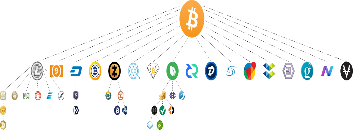 The copy Coins of Bitcoin and recopy of them