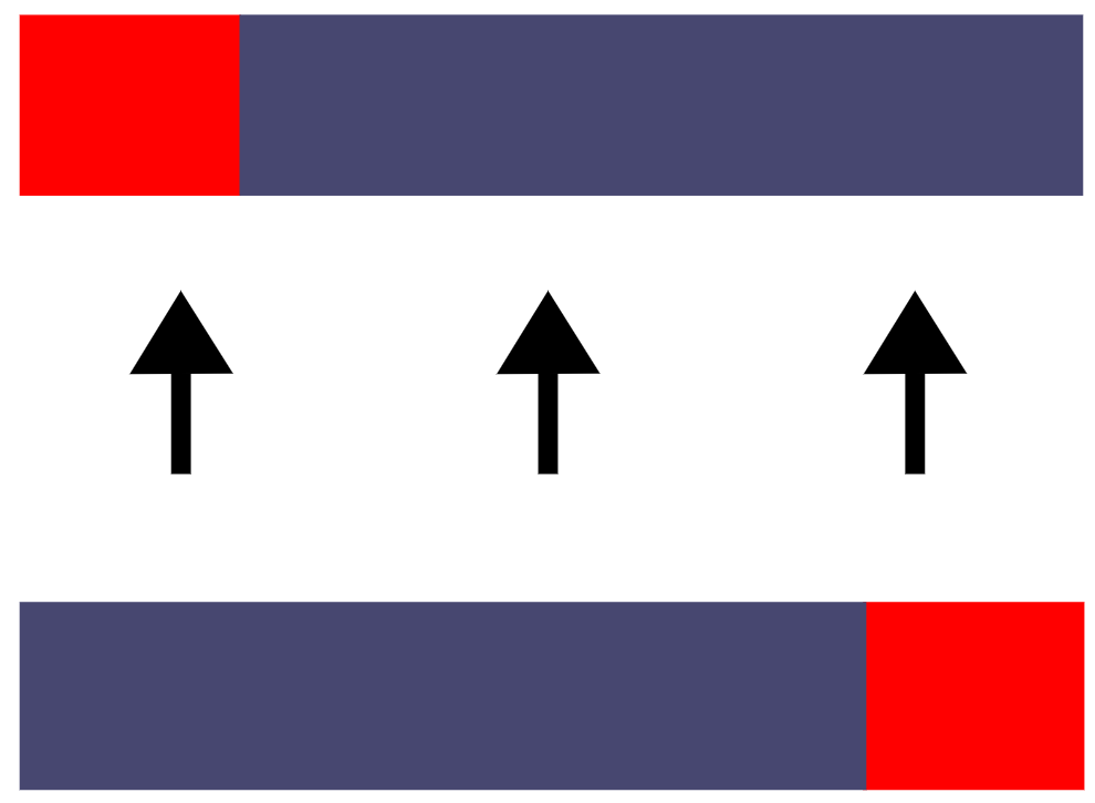 Phalanx in battle