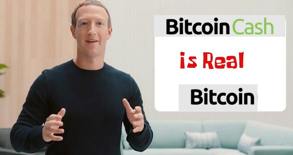 52b1a576f8e262bed1a435d9e9a501b9c114e4f453653a58cdf77574c13e248e.jpg