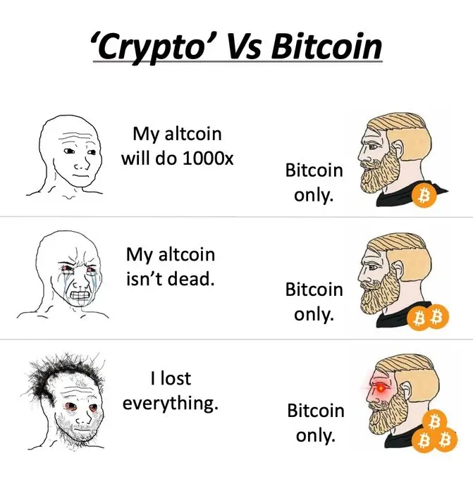 4909dfa29e3581484eebac19a00d054ae35a085999fbeea0265c9f31a77c64e6.jpg