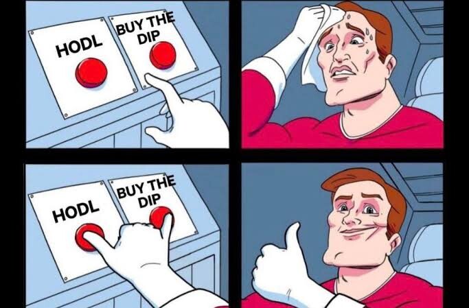 HODL and Buy the Dip together