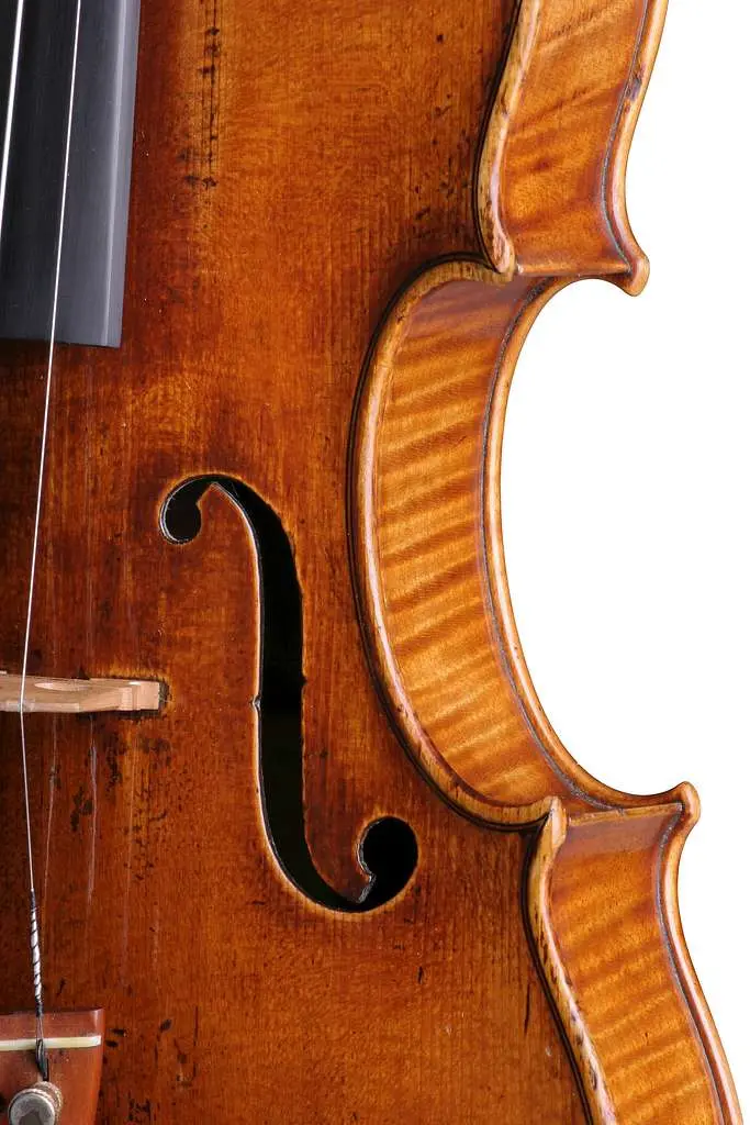 violin