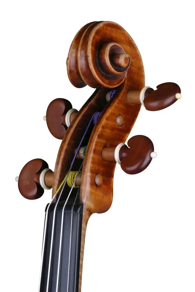 violin