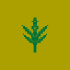 space cannabis