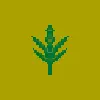 space cannabis